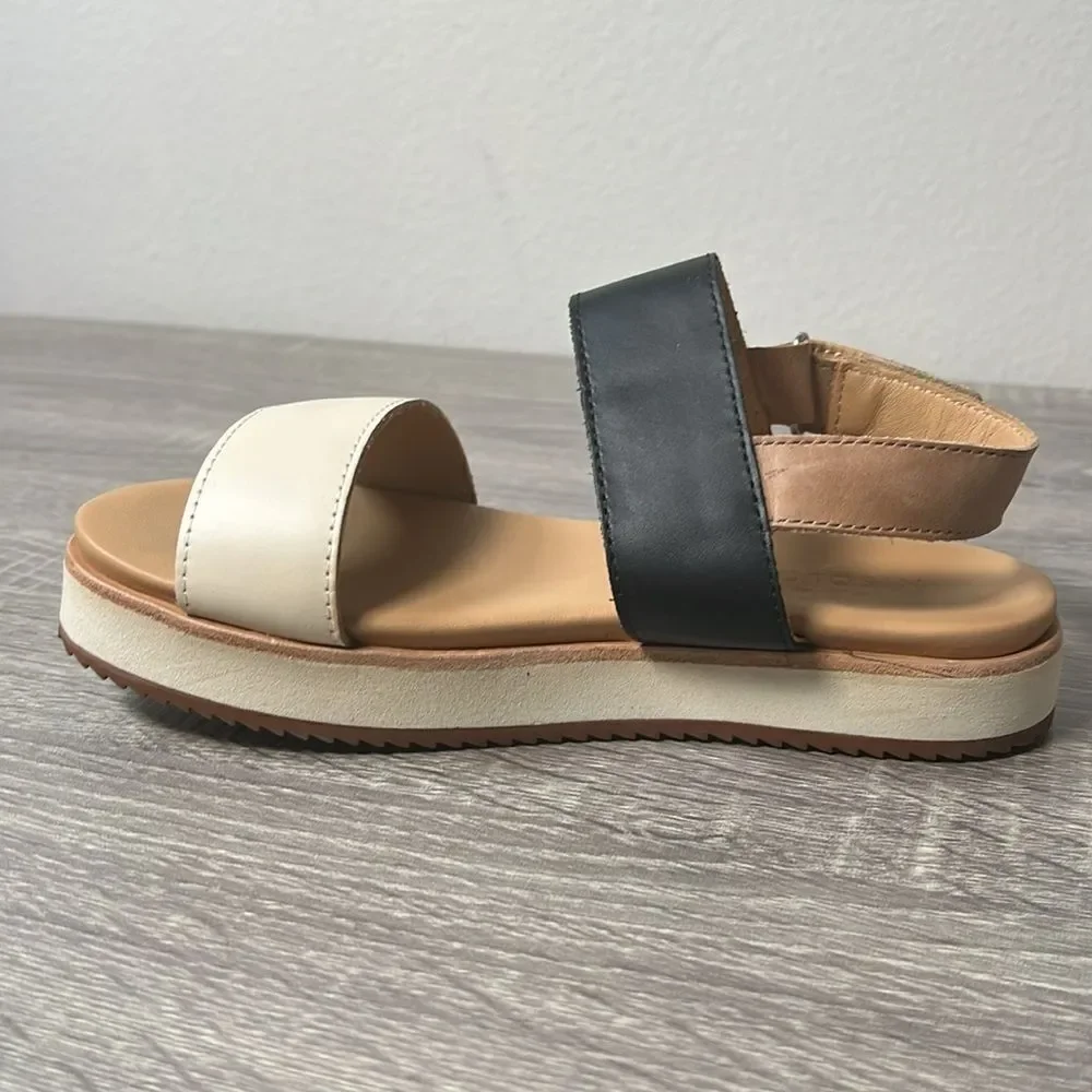 Nisolo 170 new